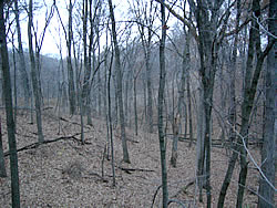 Copper's Creek Outfitters